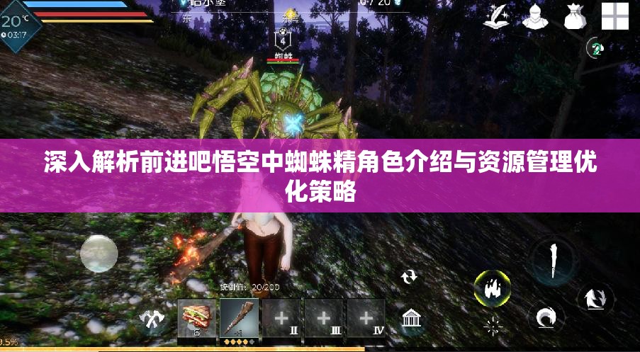 深入解析前进吧悟空中蜘蛛精角色介绍与资源管理优化策略