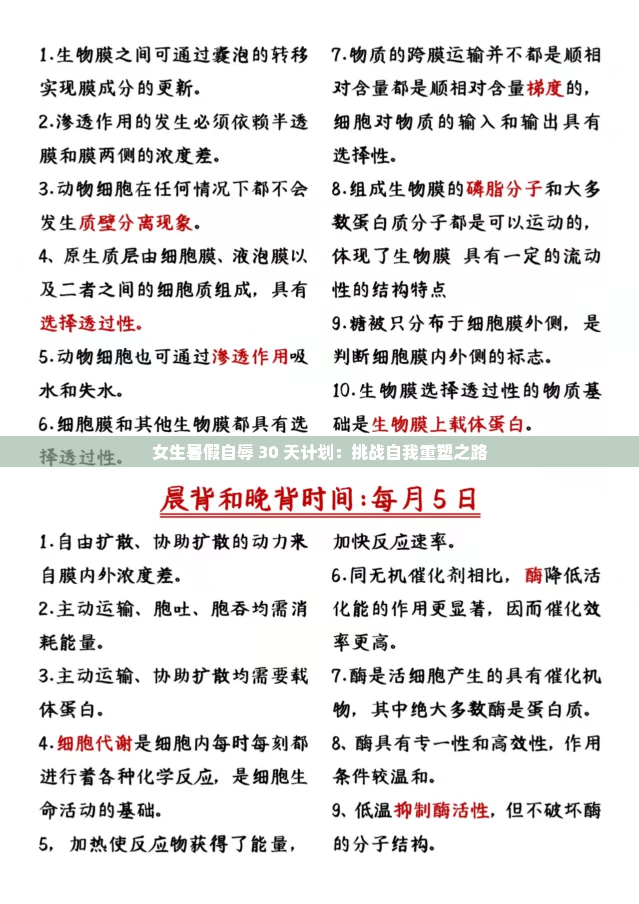 女生暑假自辱 30 天计划：挑战自我重塑之路