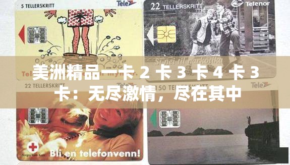 美洲精品一卡 2 卡 3 卡 4 卡 3 卡：无尽激情，尽在其中