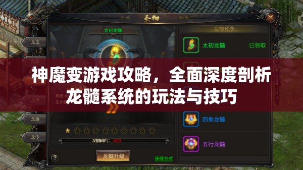 神魔变游戏攻略，全面深度剖析龙髓系统的玩法与技巧