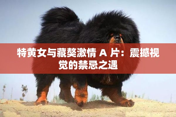 特黄女与藏獒激情 A 片：震撼视觉的禁忌之遇