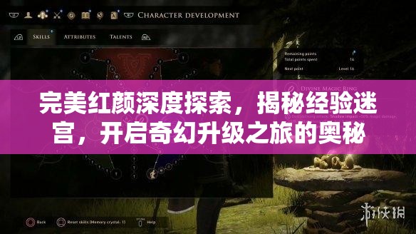 完美红颜深度探索，揭秘经验迷宫，开启奇幻升级之旅的奥秘