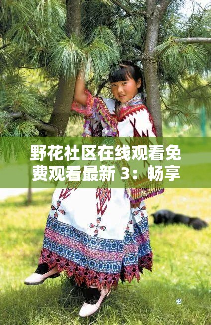 野花社区在线观看免费观看最新 3：畅享精彩影视无需等待