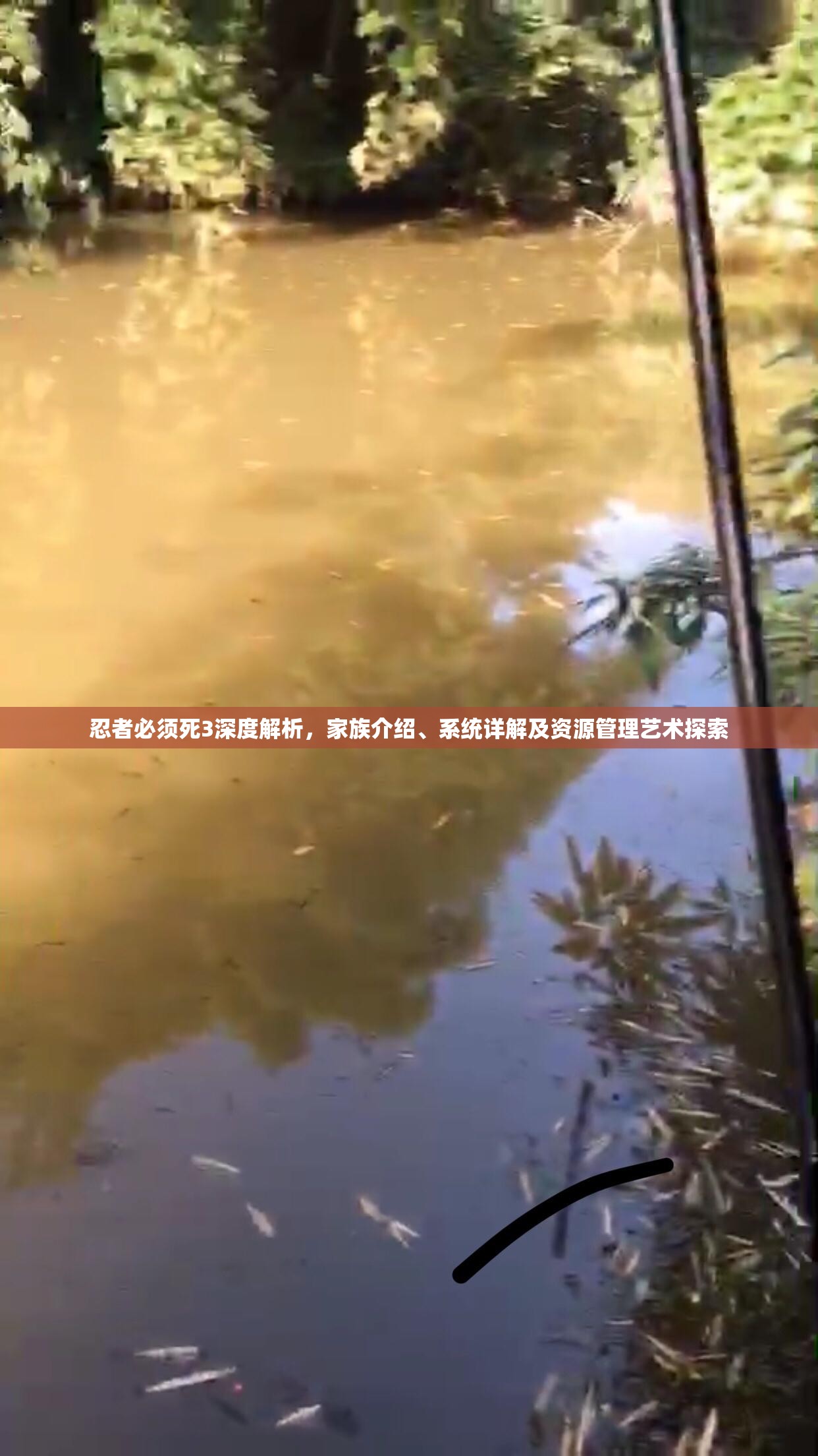 忍者必须死3深度解析，家族介绍、系统详解及资源管理艺术探索