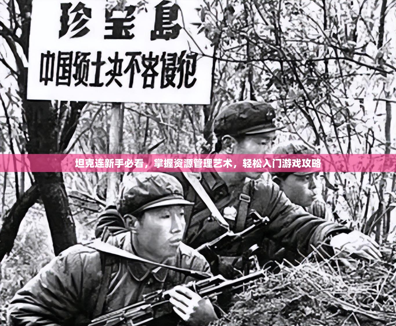 坦克连新手必看，掌握资源管理艺术，轻松入门游戏攻略