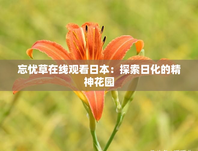 忘忧草在线观看日本：探索日化的精神花园