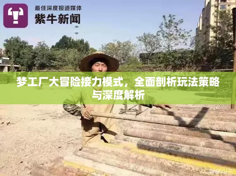 梦工厂大冒险接力模式，全面剖析玩法策略与深度解析