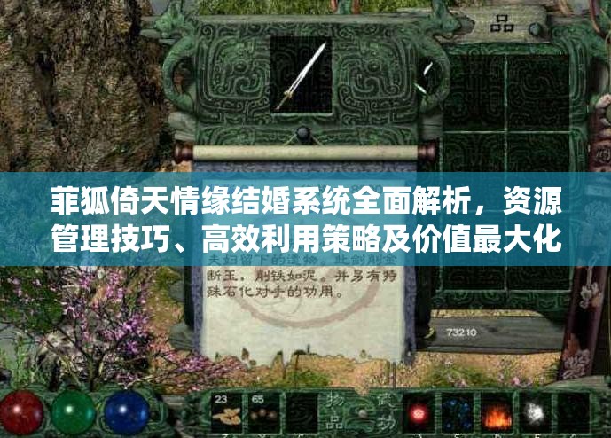 菲狐倚天情缘结婚系统全面解析，资源管理技巧、高效利用策略及价值最大化途径