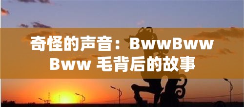 奇怪的声音：BwwBwwBww 毛背后的故事
