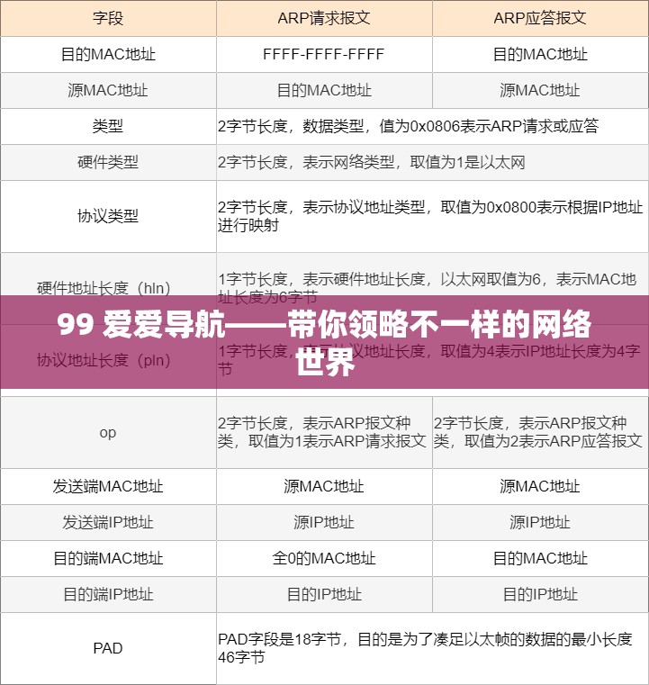 99 爱爱导航——带你领略不一样的网络世界