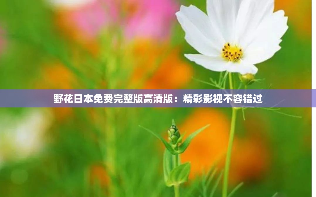 野花日本免费完整版高清版：精彩影视不容错过