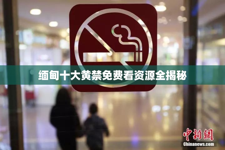 缅甸十大黄禁免费看资源全揭秘