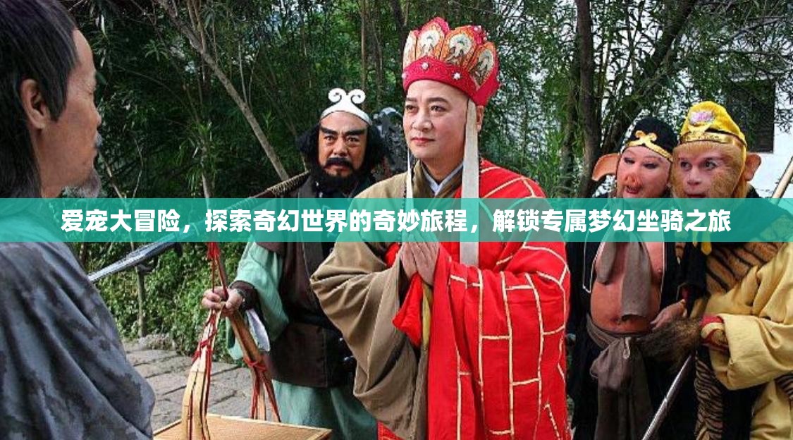 爱宠大冒险，探索奇幻世界的奇妙旅程，解锁专属梦幻坐骑之旅