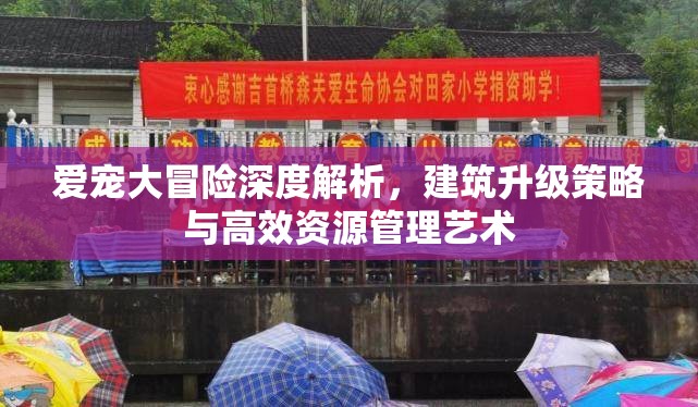 爱宠大冒险深度解析，建筑升级策略与高效资源管理艺术