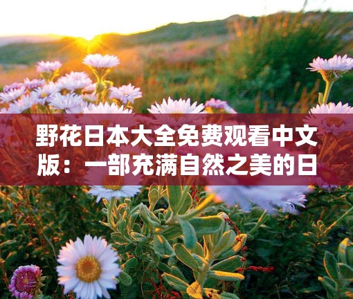 野花日本大全免费观看中文版：一部充满自然之美的日本电影