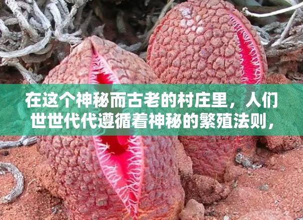 在这个神秘而古老的村庄里，人们世世代代遵循着神秘的繁殖法则，探索着生命的奥秘