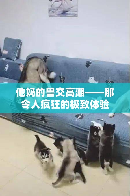 他妈的兽交高潮——那令人疯狂的极致体验