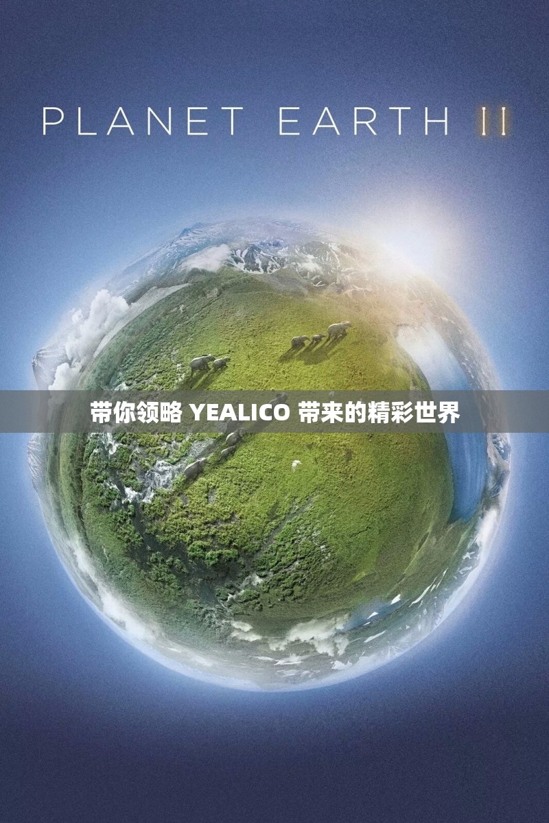 带你领略 YEALICO 带来的精彩世界
