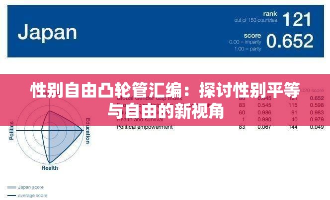 性别自由凸轮管汇编：探讨性别平等与自由的新视角