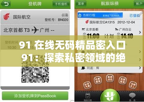 91 在线无码精品密入口 91：探索私密领域的绝佳选择