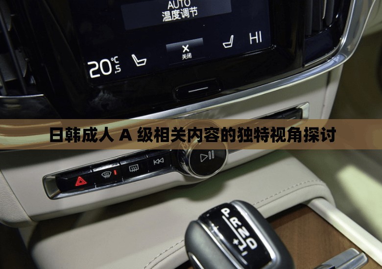 日韩成人 A 级相关内容的独特视角探讨