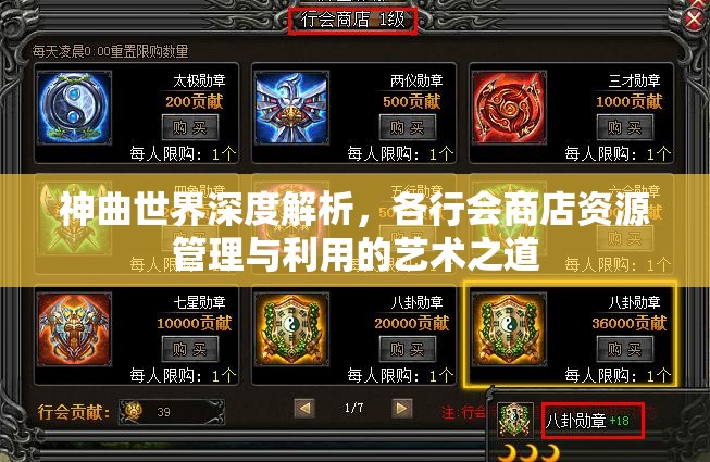 神曲世界深度解析，各行会商店资源管理与利用的艺术之道
