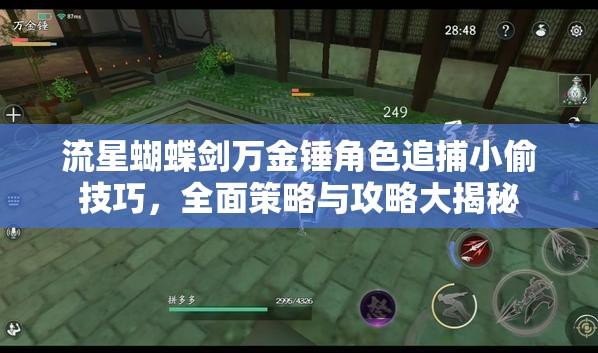 流星蝴蝶剑万金锤角色追捕小偷技巧，全面策略与攻略大揭秘