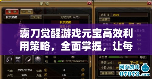 霸刀觉醒游戏元宝高效利用策略，全面掌握，让每一份元宝都发挥超值效益
