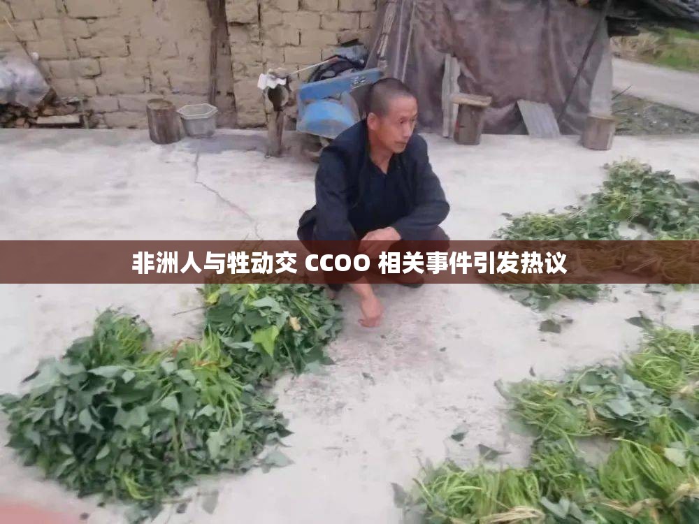 非洲人与牲动交 CCOO 相关事件引发热议
