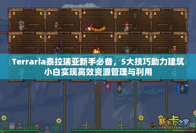 Terraria泰拉瑞亚新手必备，5大技巧助力建筑小白实现高效资源管理与利用