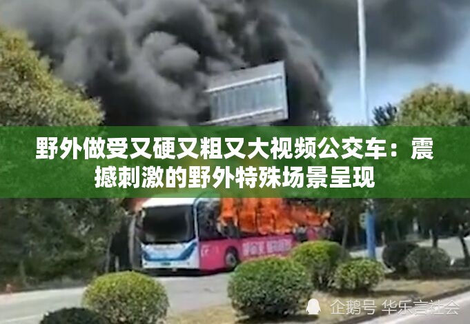 野外做受又硬又粗又大视频公交车：震撼刺激的野外特殊场景呈现
