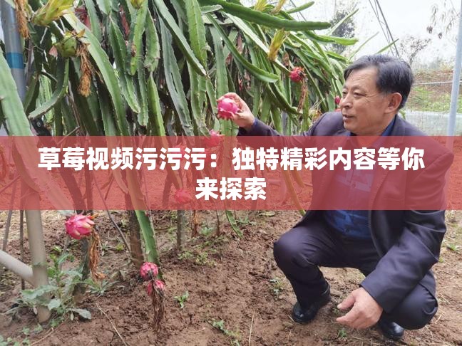 草莓视频污污污：独特精彩内容等你来探索