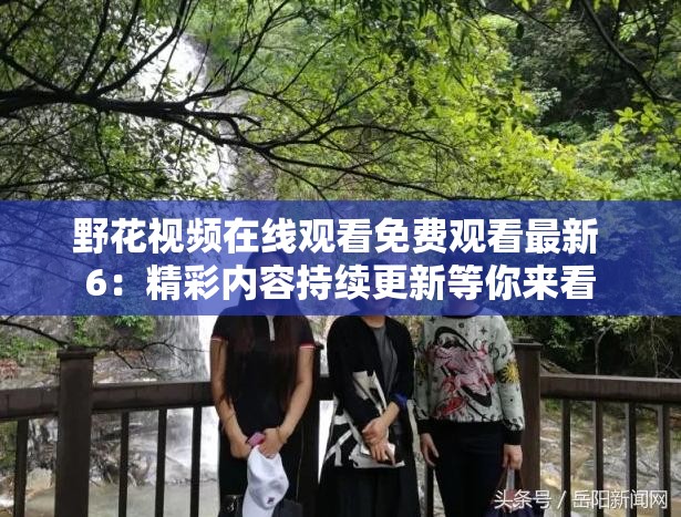 野花视频在线观看免费观看最新 6：精彩内容持续更新等你来看