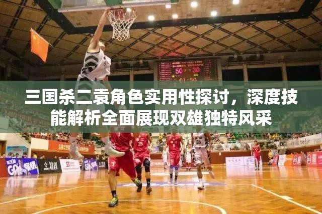 三国杀二袁角色实用性探讨，深度技能解析全面展现双雄独特风采