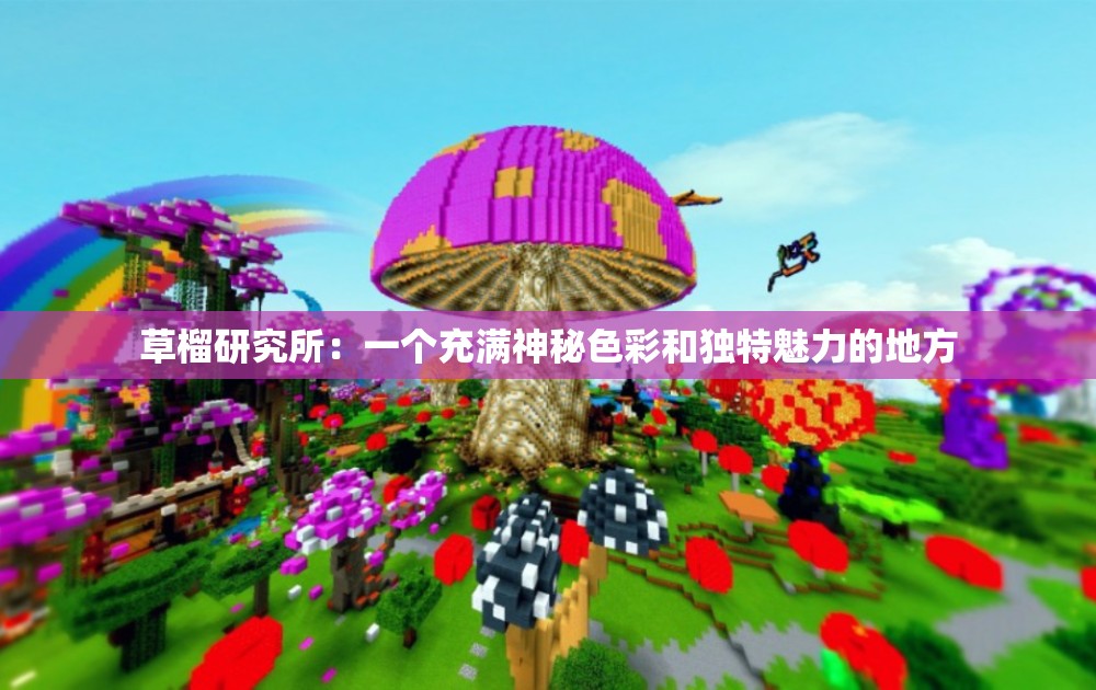 草榴研究所：一个充满神秘色彩和独特魅力的地方