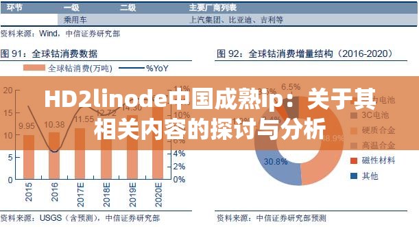 HD2linode中国成熟ip：关于其相关内容的探讨与分析