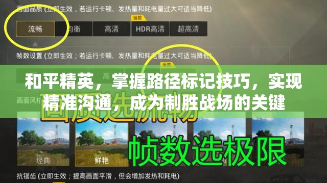 和平精英，掌握路径标记技巧，实现精准沟通，成为制胜战场的关键
