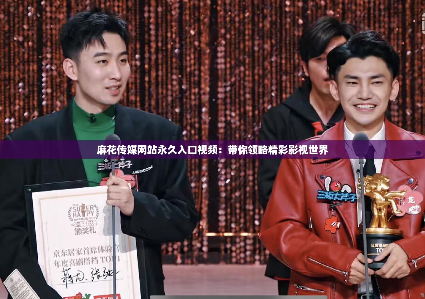 麻花传媒网站永久入口视频：带你领略精彩影视世界