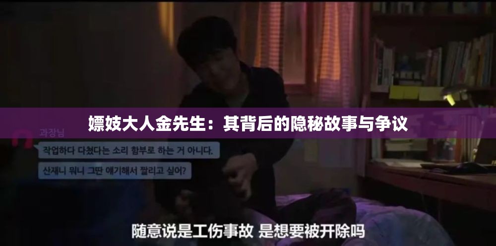 嫖妓大人金先生：其背后的隐秘故事与争议