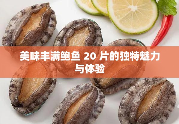 美味丰满鲍鱼 20 片的独特魅力与体验