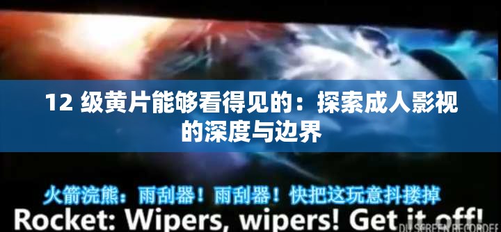 12 级黄片能够看得见的：探索成人影视的深度与边界