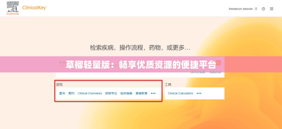 草榴轻量版：畅享优质资源的便捷平台