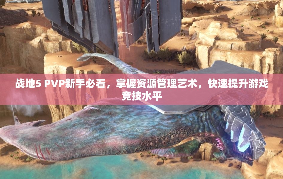 战地5 PVP新手必看，掌握资源管理艺术，快速提升游戏竞技水平