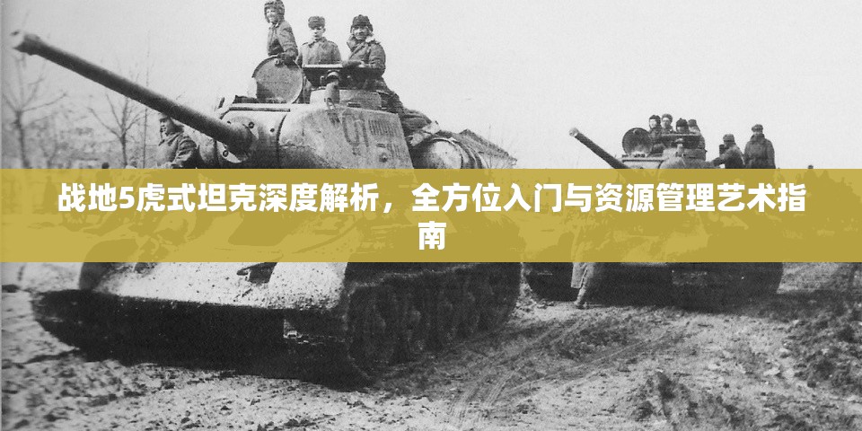 战地5虎式坦克深度解析，全方位入门与资源管理艺术指南