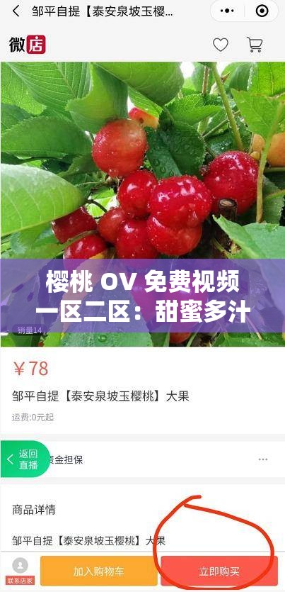 樱桃 OV 免费视频一区二区：甜蜜多汁的爱情故事