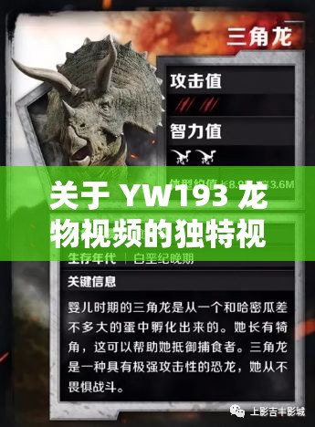 关于 YW193 龙物视频的独特视角解读与呈现
