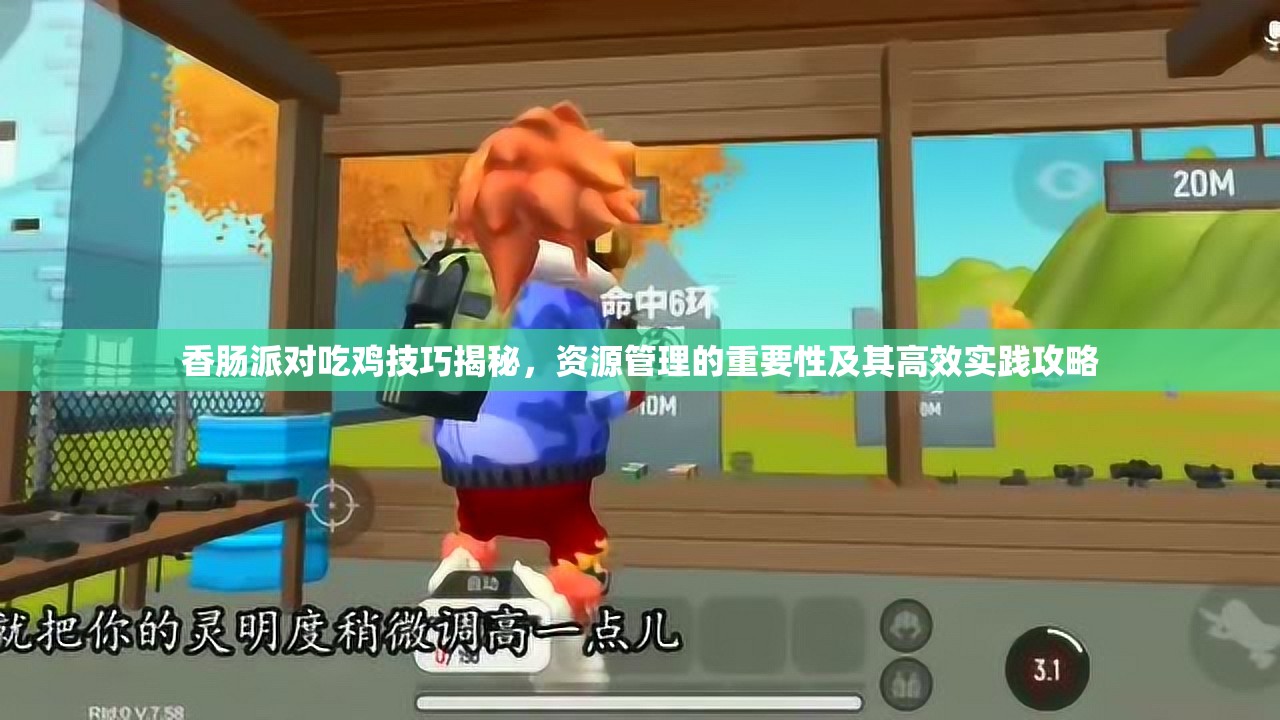香肠派对吃鸡技巧揭秘，资源管理的重要性及其高效实践攻略