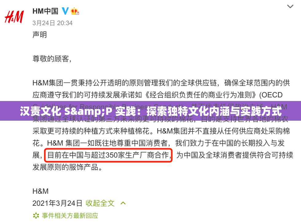 汉责文化 S&P 实践：探索独特文化内涵与实践方式