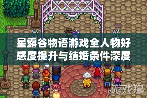 星露谷物语游戏全人物好感度提升与结婚条件深度攻略解析