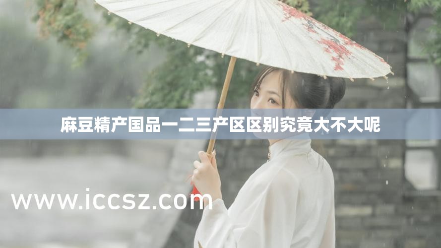麻豆精产国品一二三产区区别究竟大不大呢